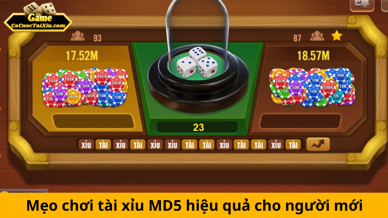 Tài xỉu MD5: Công nghệ minh bạch hóa kết quả cá cược hiện đại 3 Mẹo chơi tài xỉu MD5 hiệu quả nhanh